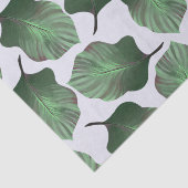 Canna Tropicanna Tropical Leaves, Green Tissuepapier (Detail)