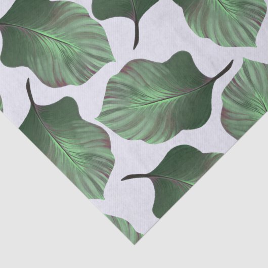 Canna Tropicanna Tropical Leaves, Green Tissuepapier (Detail)