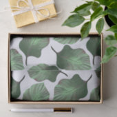 Canna Tropicanna Tropical Leaves, Green Tissuepapier (Geschenk)