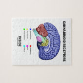 Cannabinoïde receptoren binnen (hersenanatomie) legpuzzel (Horizontaal)
