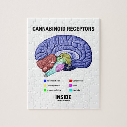 Cannabinoïde receptoren binnen (hersenanatomie) legpuzzel (Verticaal)