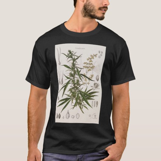 Cannabis Sativa - frans botanisch Poster van binne T-shirt (Voorkant)