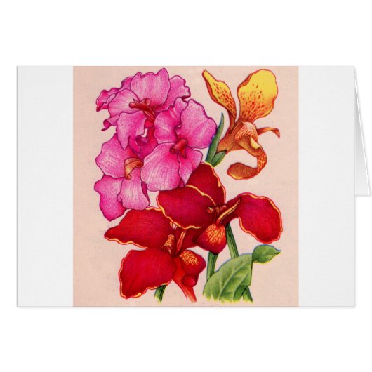 cannabloemen (Voorkant Horizontaal)