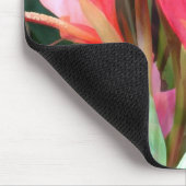 Cannas  in roze muismat (Hoek)