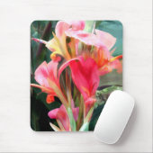 Cannas  in roze muismat (Met muis)