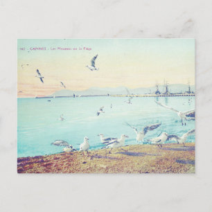 Cannes Beach Seagulls Briefkaart
