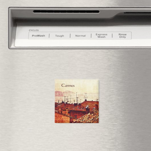 Cannes daken magneet (Insitu (Vaatwasser))