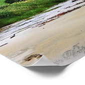 Cannibal Bay : Caitlins : Nieuw-Zeeland Poster (Hoek)