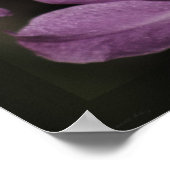 Cannizaro Orchid Art Print -24x20 - of kleiner (Hoek)