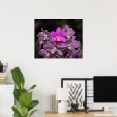 Cannizaro Orchid Art Print -24x20 - of kleiner (Thuiskantoor)