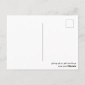 Cannock Chase in Staffordshire souvenir foto Briefkaart (Achterkant)