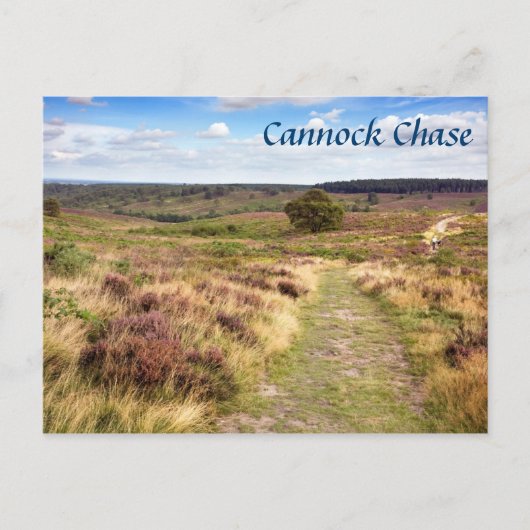 Cannock Chase in Staffordshire souvenir foto Briefkaart (Voorkant)