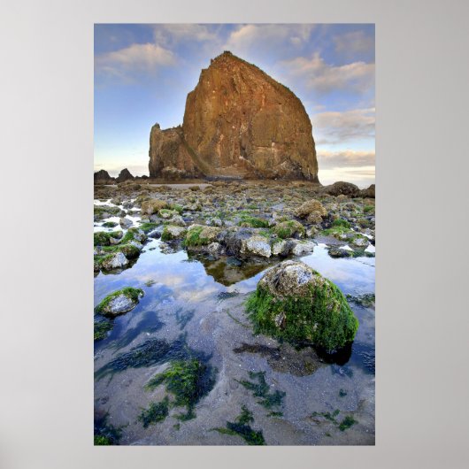 Cannon Beach Haystack Rock Low Tide Oregon Poster (Voorkant)