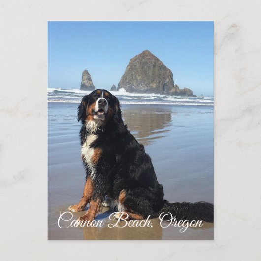 Cannon Beach Oregon Briefkaart (Voorkant)