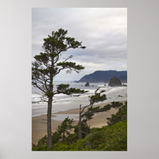 Cannon Beach uit Tolovana in Oregon Pacific Ocean Poster