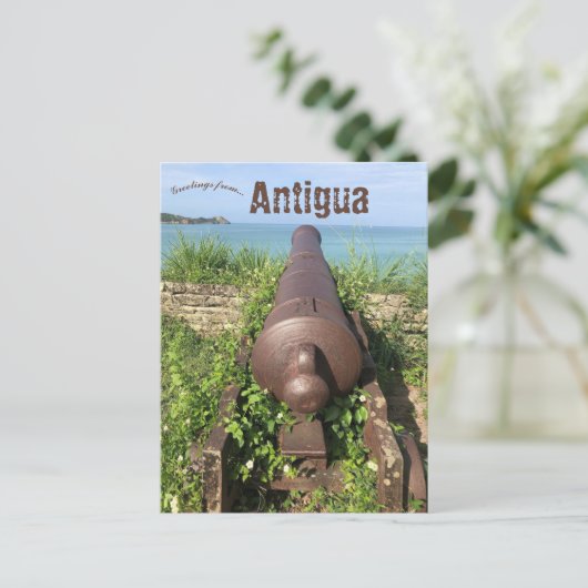 Cannon in Antigua Briefkaart (Staand voorkant)