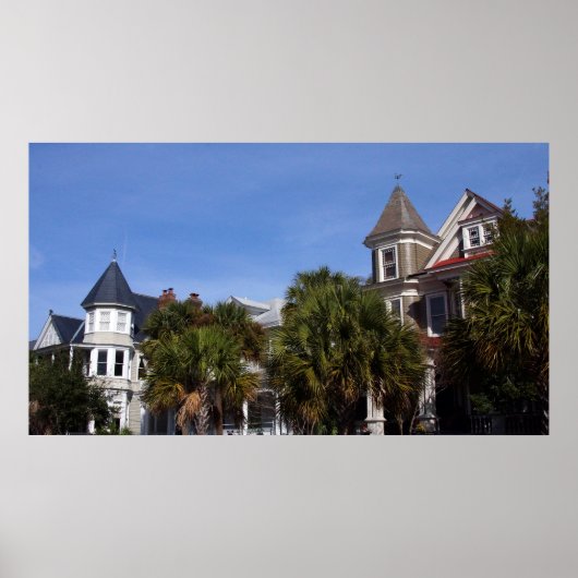 Cannon Park overzien, Charleston SC Poster (Voorkant)