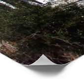 Cannon Park overzien, Charleston SC Poster (Hoek)