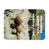 Cannonball Concretions, Theodore Roosevelt NP Magneet (Horizontaal)