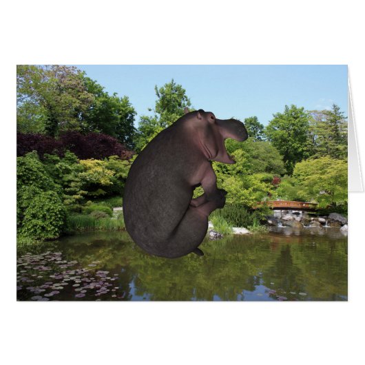 Cannonball Hippo (Voorkant Horizontaal)
