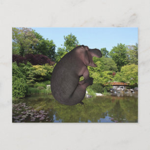 Cannonball Hippo Briefkaart