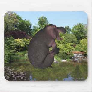 Cannonball Hippo Muismat