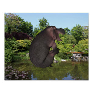 Cannonball Hippo Perfect Poster