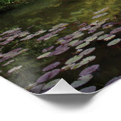 Cannonball Hippo Perfect Poster (Hoek)