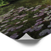 Cannonball Hippo Poster (Hoek)