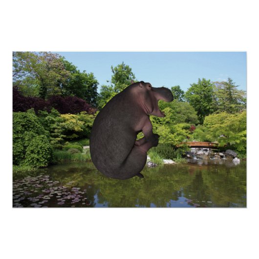 Cannonball Hippo Poster (Voorkant)