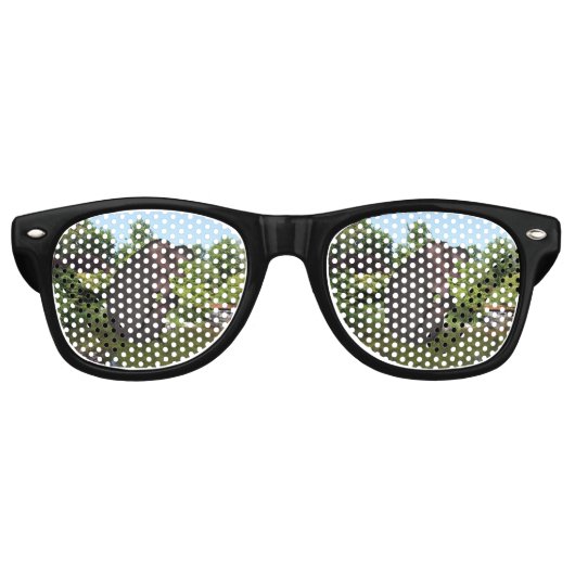 Cannonball Hippo Retro Zonnebril (Voorkant)