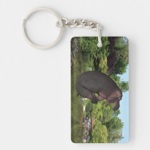 Cannonball Hippo Sleutelhanger