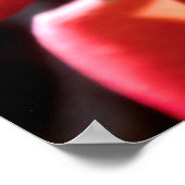 Cannonball Tree Blossom Poster (Hoek)