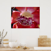 Cannonball Tree Blossom Poster (Keuken)