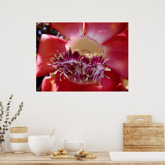 Cannonball Tree Blossom Poster (Keuken)