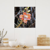 Cannonball Tree Flower Poster (Keuken)
