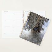 Cannonball Tree, Old Quebec City, Quebec, Canada Planner (Display)