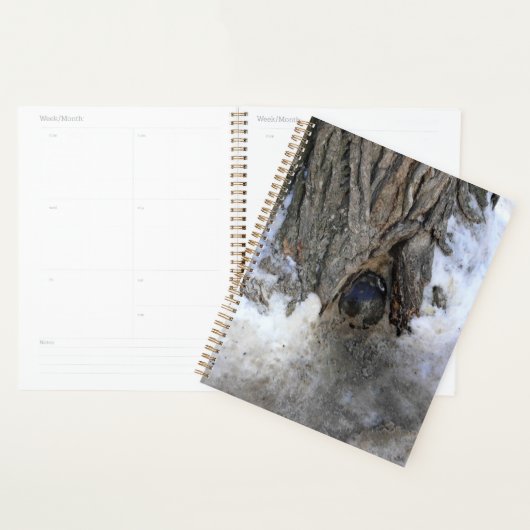 Cannonball Tree, Old Quebec City, Quebec, Canada Planner (Display)