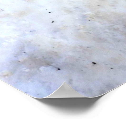 Cannonball Tree, Old Quebec City, Quebec, Canada Poster (Hoek)