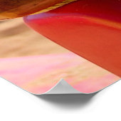 Canoe Rigging Poster (Hoek)