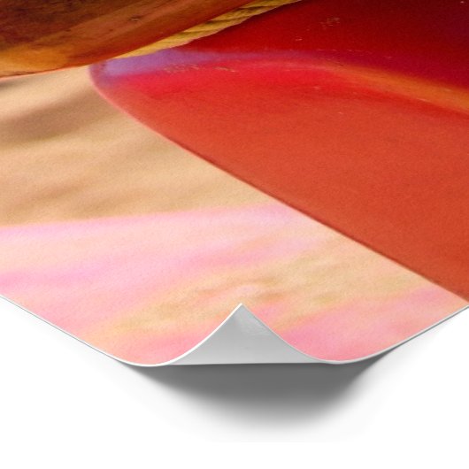 Canoe Rigging Poster (Hoek)