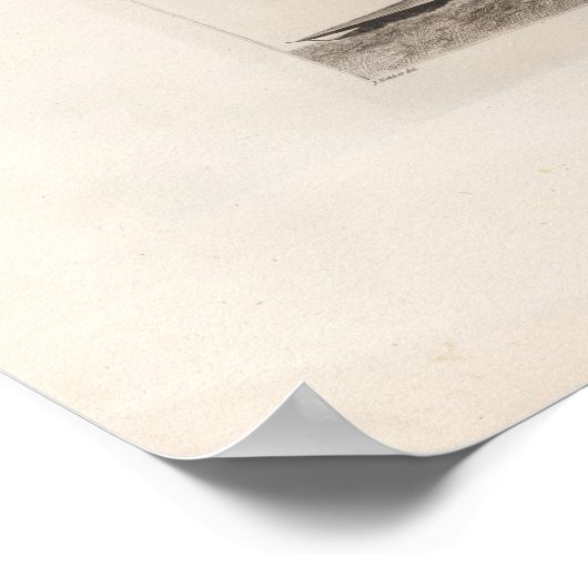 Canoes, Oonalashka, Alaska Poster (Hoek)