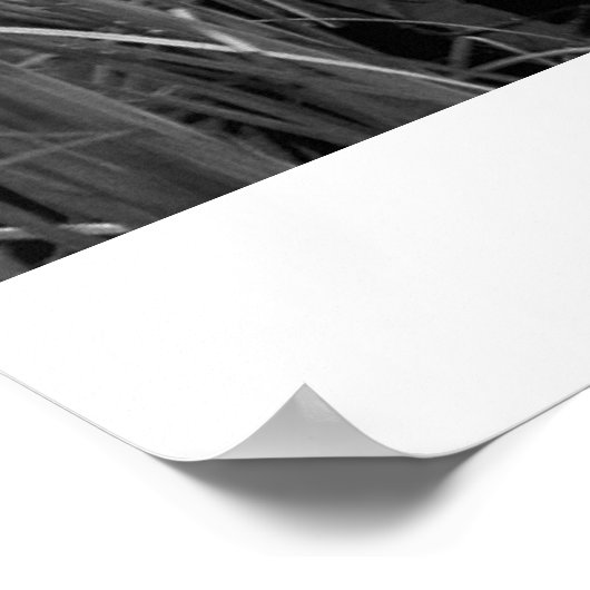 Canoes Poster (Hoek)