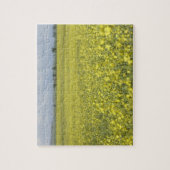 Canola bloeiend in het veld. legpuzzel (Verticaal)