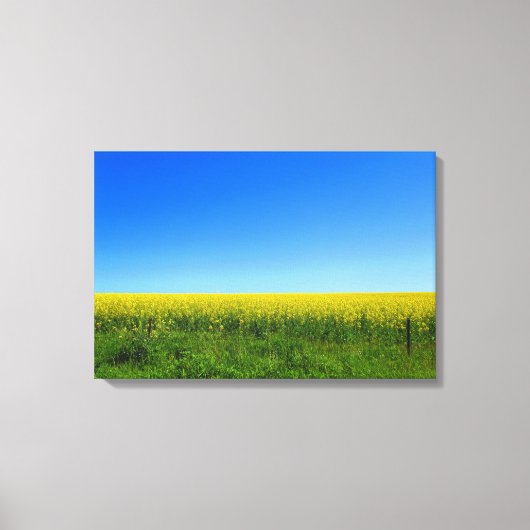 Canola Fields Canvas Afdruk (Voorkant)