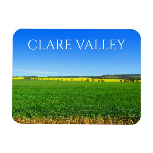 canola fields clare valley magneet (Horizontaal)