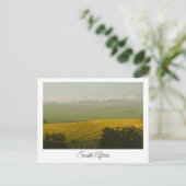 Canola Fields South Africa Landscape Briefkaart (Staand voorkant)