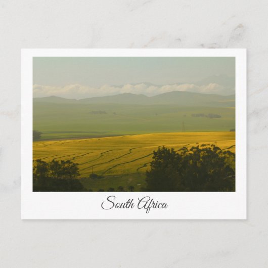 Canola Fields South Africa Landscape Briefkaart (Voorkant)