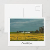 Canola Fields South Africa Landscape Briefkaart (Voorkant / Achterkant)