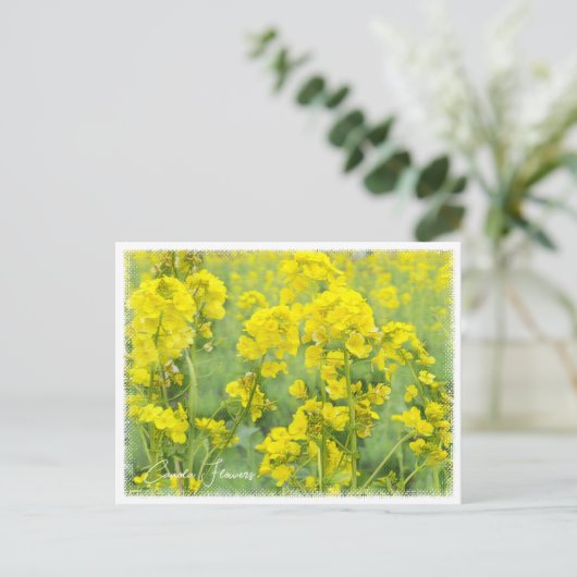 Canola Flowers Briefkaart (Staand voorkant)